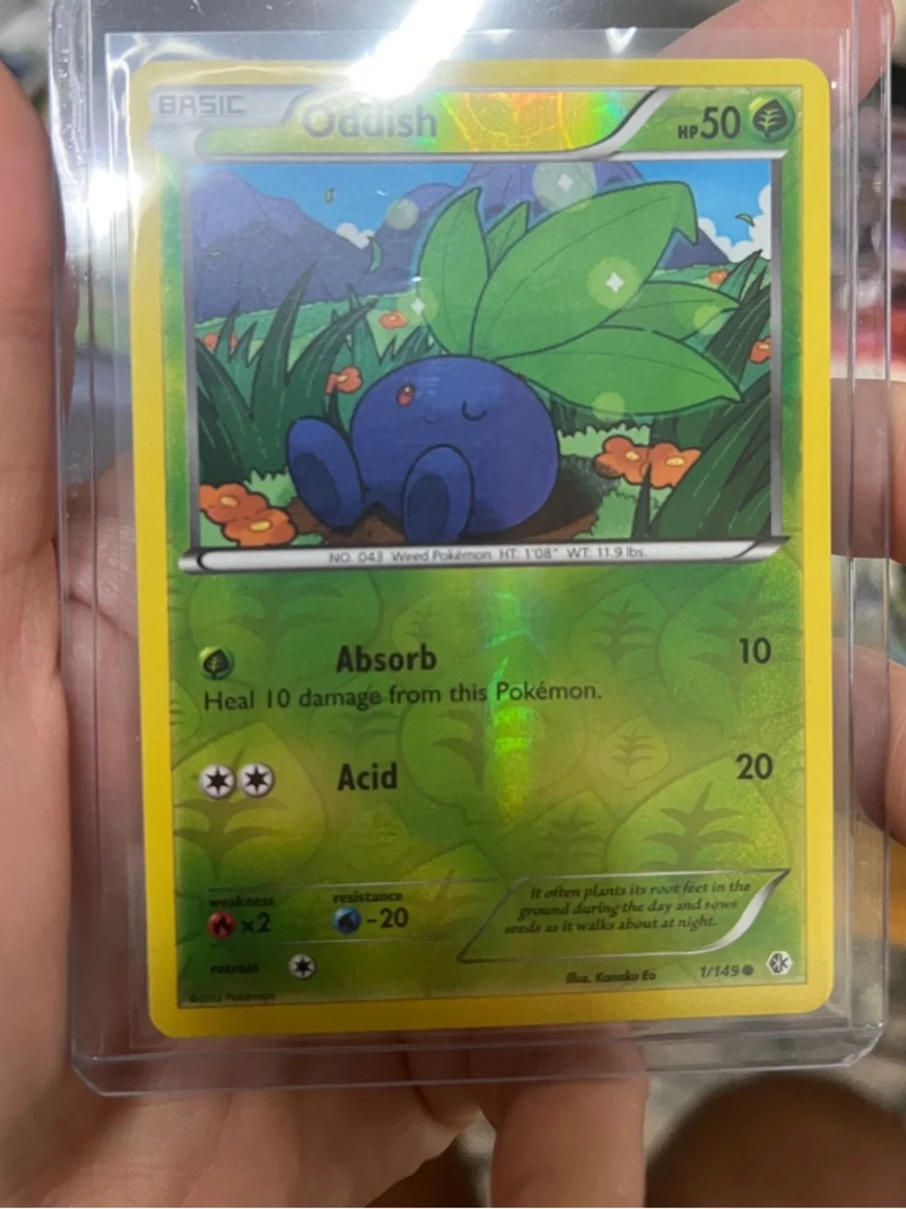 Pokemon holo oddish